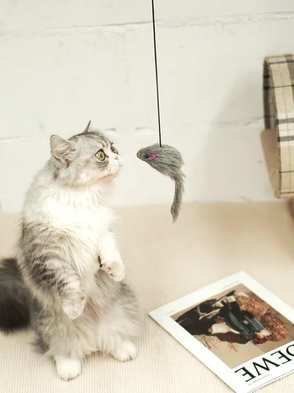 Interactive Door Toy - Jumping Mouse for Active Cats