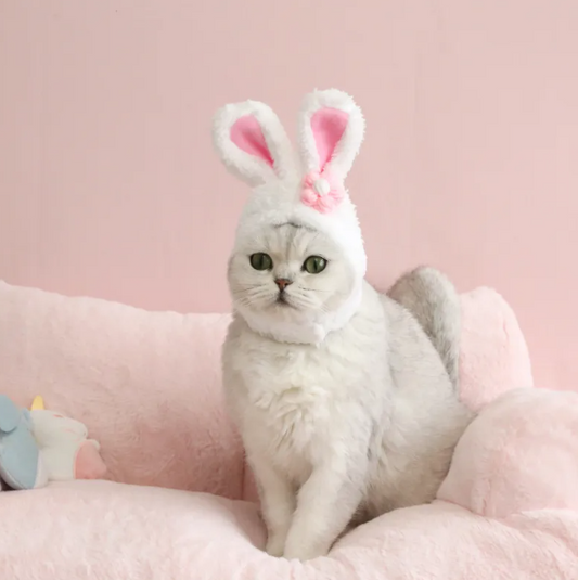 Cat Hat with Bunny Ears and Carrot or Flower Design for Adorable Companion Photos