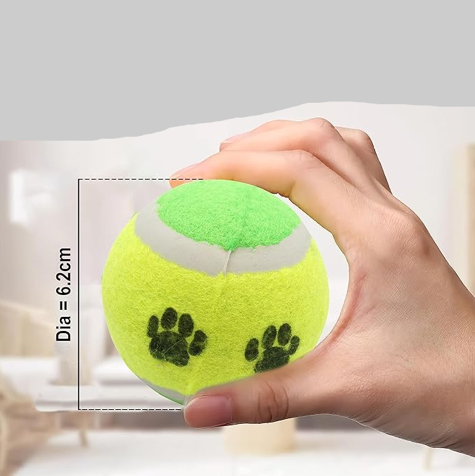 Dog Ball Launchers – A Long-Throw Game for Active Four-Legged Friends