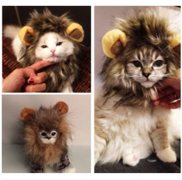 Lion Mane for Cats With Ears for Dress-Ups and Fun Photos