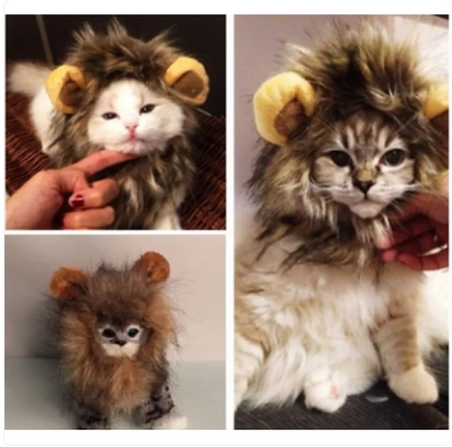 Lion Mane for Cats With Ears for Dress-Ups and Fun Photos