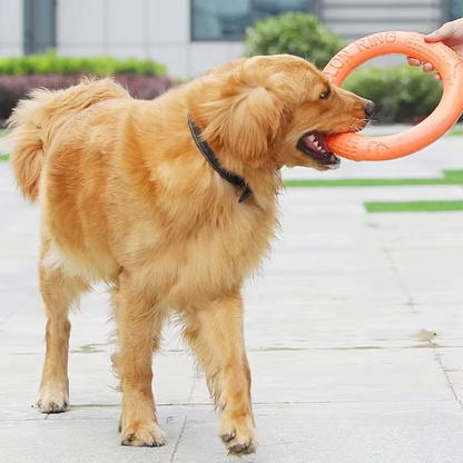 Durable Throw and Bite Ring - Interactive Dog Toy for Active Fun