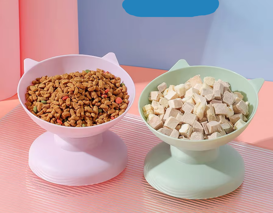 15-Degree Tilted Cat Bowl to Protect the Cervicals