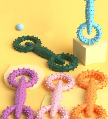 Dog Teething Ring Toy - Tooth Cleaning and Chewing Fun