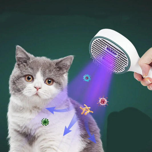 Electric Hair Brush - Quick Straightening and Detangling of Straight Hair