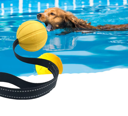 Interactive Bite Training Toy for Dogs – Durable Chewable Ball