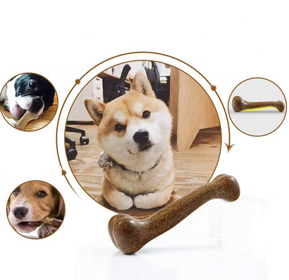 Durable Chew Toy for Dogs – Non-Toxic and Environmentally Friendly