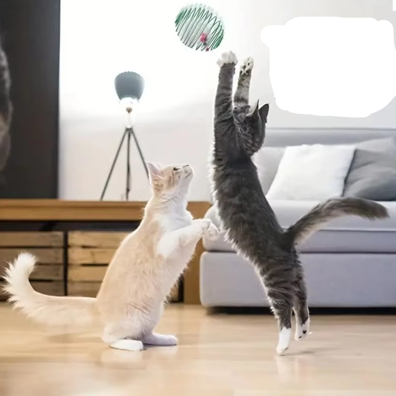 Mouse in a Spiral Cage - Prey Game for Cats