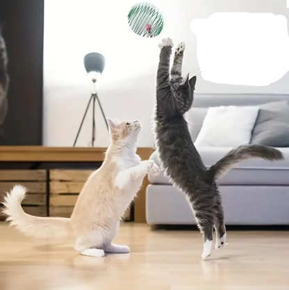 Mouse in a Spiral Cage - Prey Game for Cats