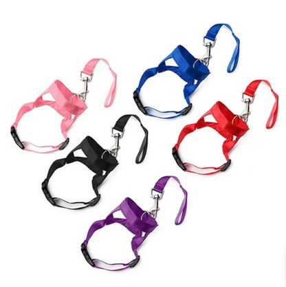 Adjustable Harness with Leash for Small and Medium-Sized Dogs