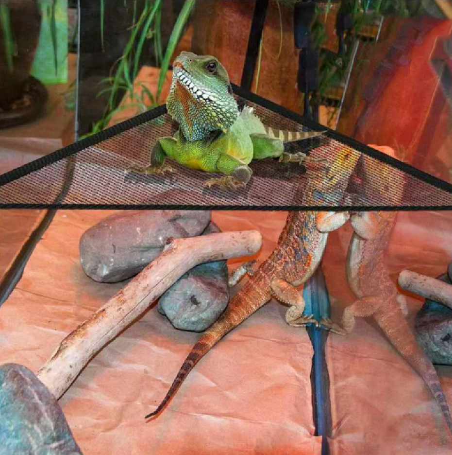 Reptile Hammock - Net Hammock with Suction Cups for Terrariums