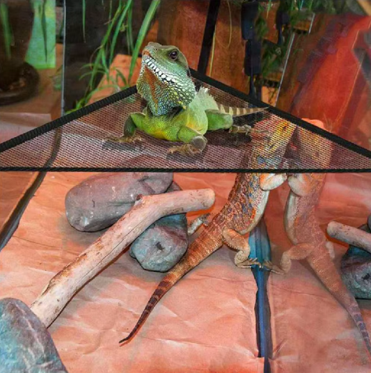 Reptile Hammock - Net Hammock with Suction Cups for Terrariums