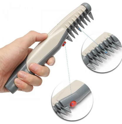 Electric Clipper for Dogs and Cats