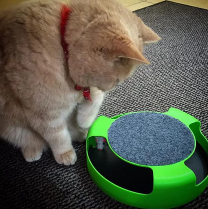 Interactive Cat Toys with Mouse - Toy with Moving Mouse for Cats