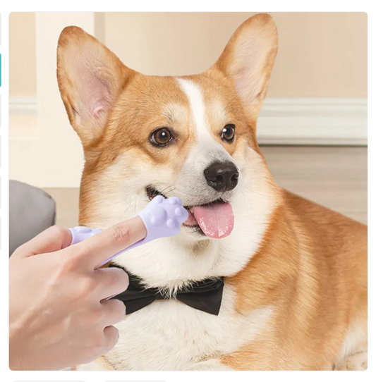Tongue Scraper for Dogs - Paw-Shaped Grooming Tool for Dental Hygiene