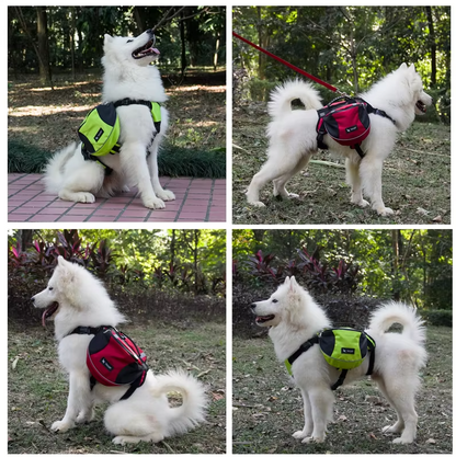 Dog Backpack for Outdoor Activities – Adjustable and Waterproof in Red and Grey