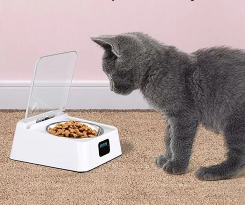 Automatic Cat Food Dispenser with Digital Display and Lid