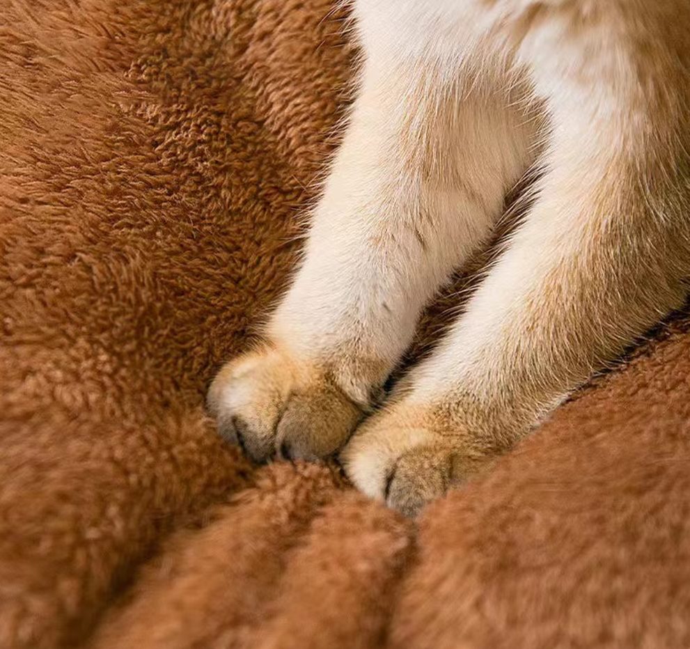 The Comfortable Pet House – Soft and Heated Bed for Cats and Dogs with a Cozy Design