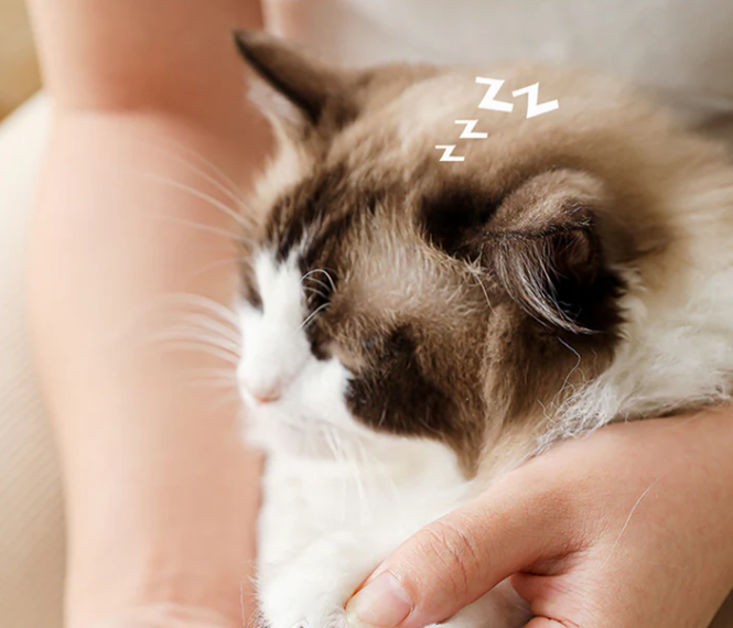 Silent Digital Nail Grinder with LED Display