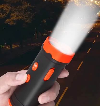Dog Training Device with Sound and Light Function