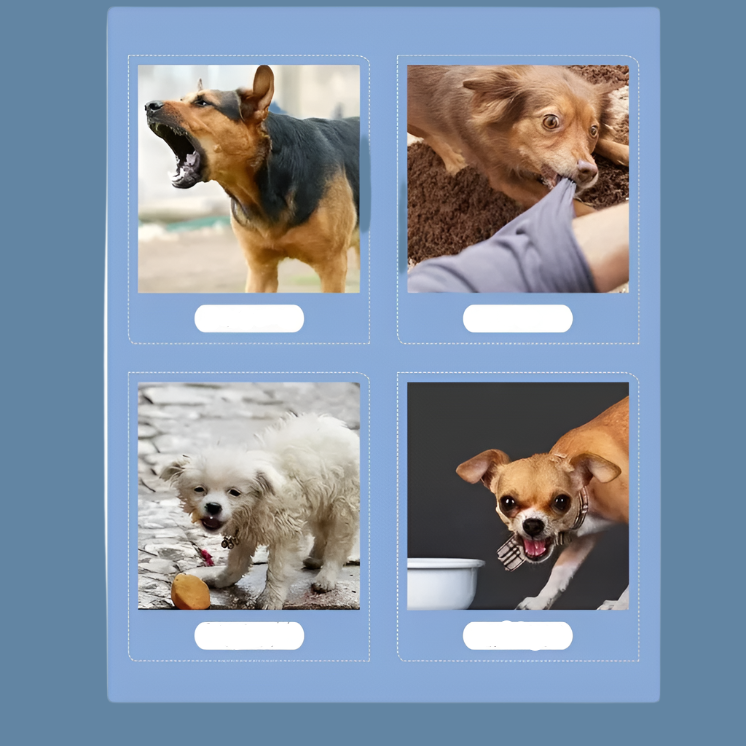 Portable Dog Trainer with Remote Control