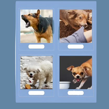 Portable Dog Trainer with Remote Control