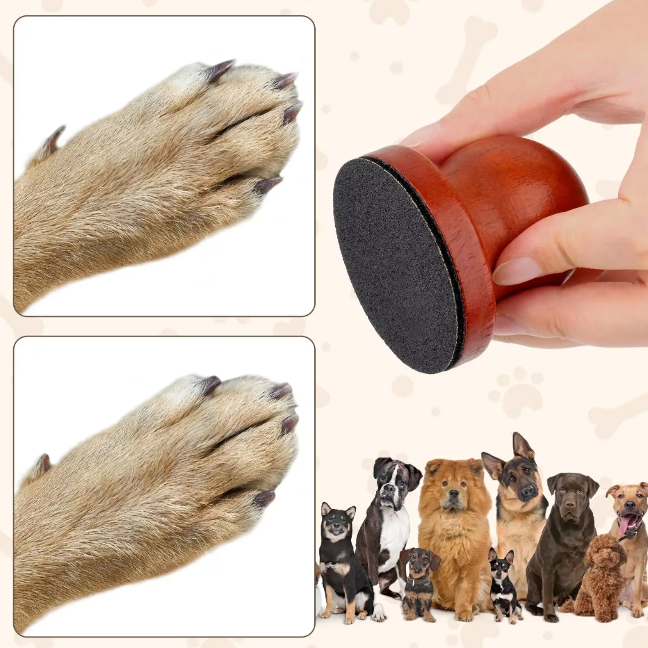 Dog Nail Buffer – A Gentle and Effective Nail Care for Smooth and Well-Groomed Paws