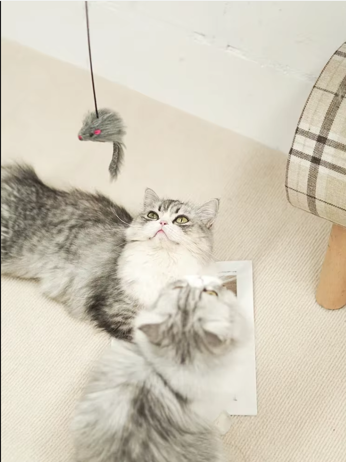 Interactive Door Toy - Jumping Mouse for Active Cats