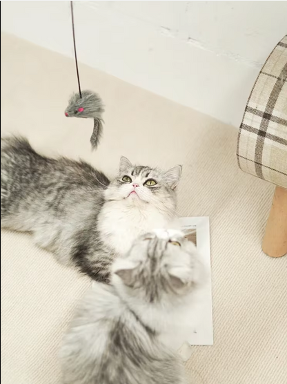 Interactive Door Toy - Jumping Mouse for Active Cats