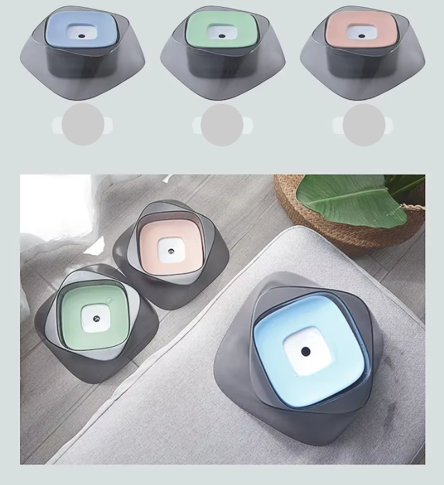 Raised Dog Bowl with Non-Slip Base