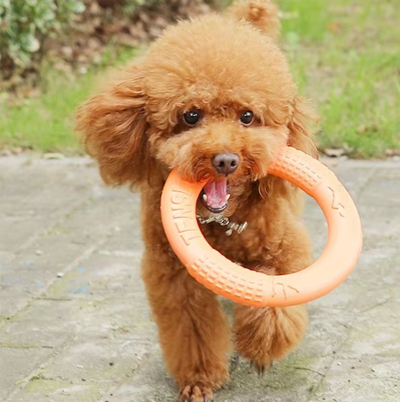 Durable Throw and Bite Ring - Interactive Dog Toy for Active Fun