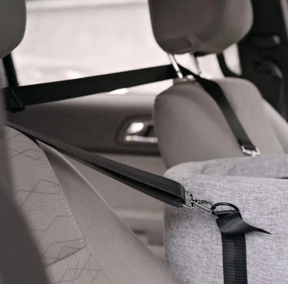 "Dog Car Seat"
