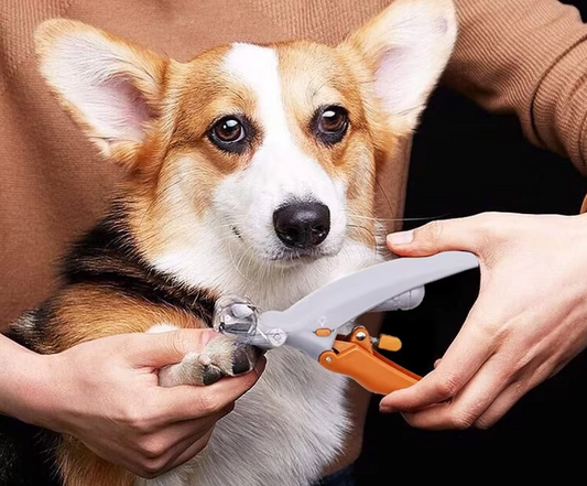 Pet Nail Clipper – Precise and Safe Nail Clipper with LED Magnifying Glass