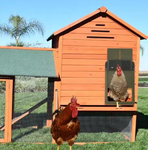 Automatic Chicken Coop Door System