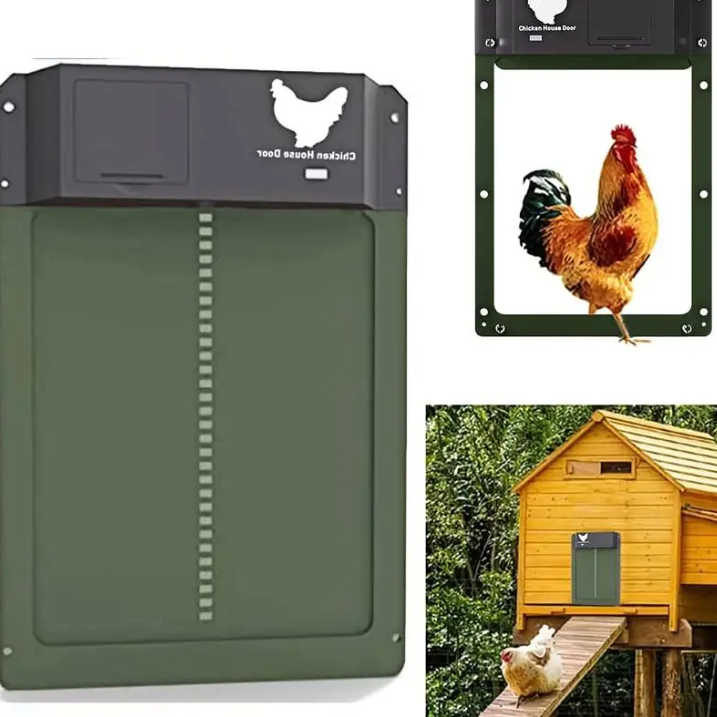 Automatic Chicken Coop Door System