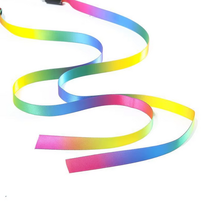 Rainbow Fishing Pole - Active Toy for Cats