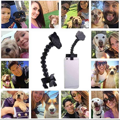 Selfie Stick for Pets with Treat Holder