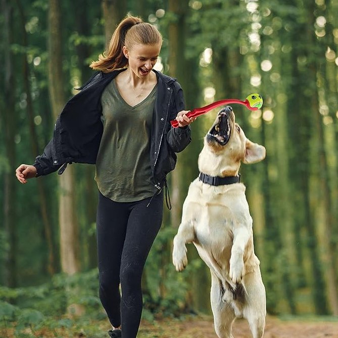Dog Ball Launchers – A Long-Throw Game for Active Four-Legged Friends