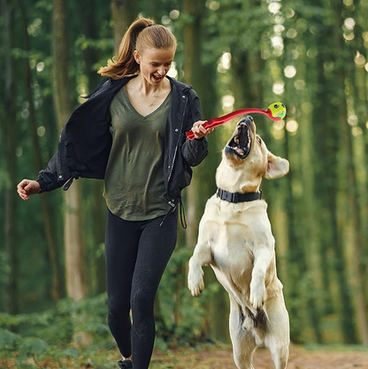 Dog Ball Launchers – A Long-Throw Game for Active Four-Legged Friends