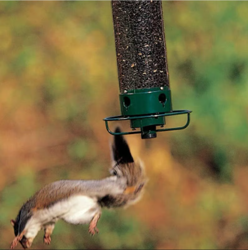 Squirrel-Resistant Bird Seed Feeder