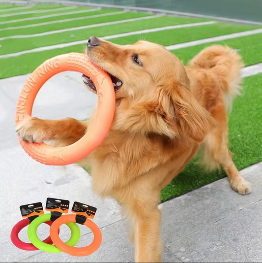 Durable Throw and Bite Ring - Interactive Dog Toy for Active Fun
