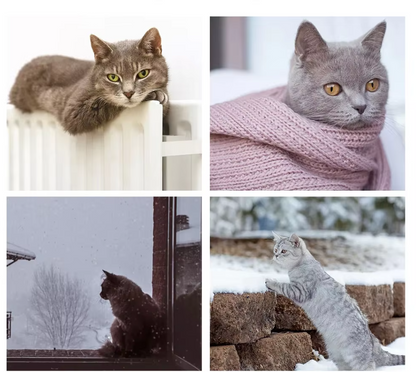 Cat Hammock – Soft And Stable Window Bed For Cats