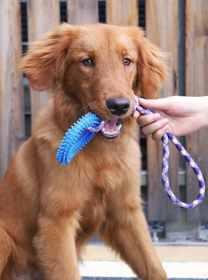 Durable Dog Toy with Teething Ring – Chew and Tug Rope Toy for Interactive Fun