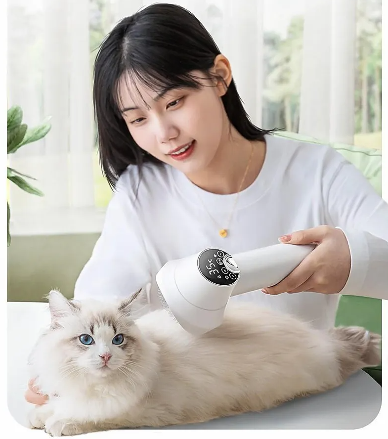 Hair Dryer with Digital Display – Intelligent Temperature Control for Fast and Gentle Drying