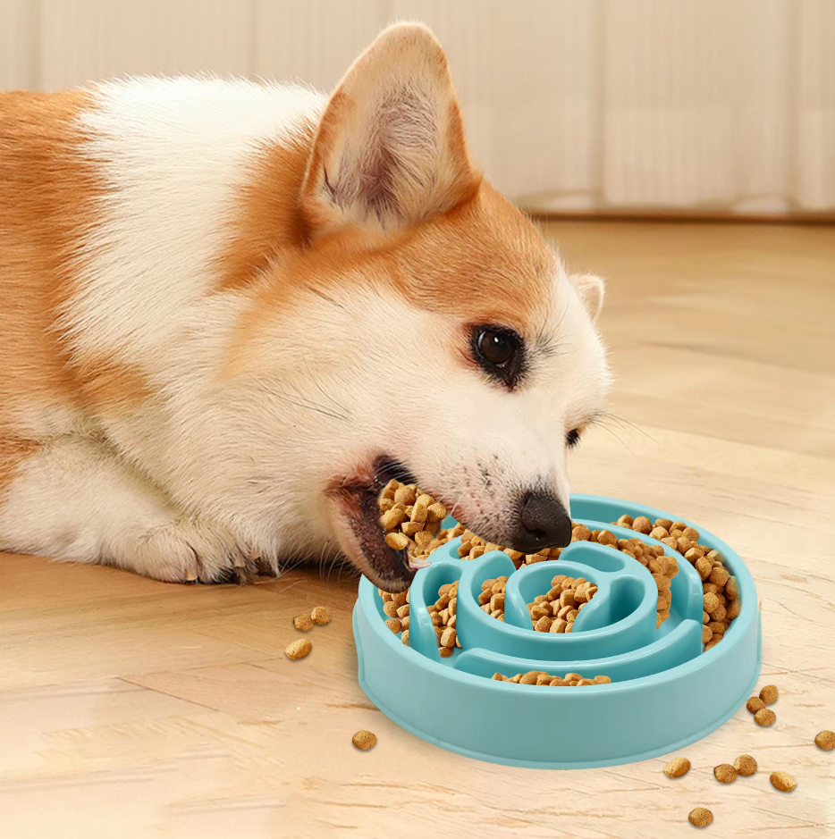 Slow Feed Bowl for Dogs