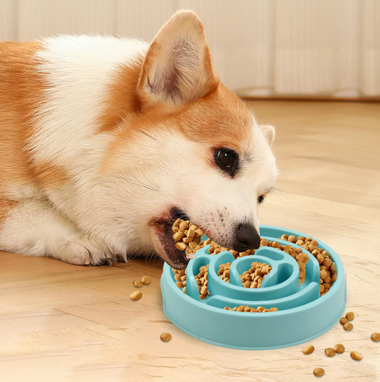 Slow Feed Bowl for Dogs