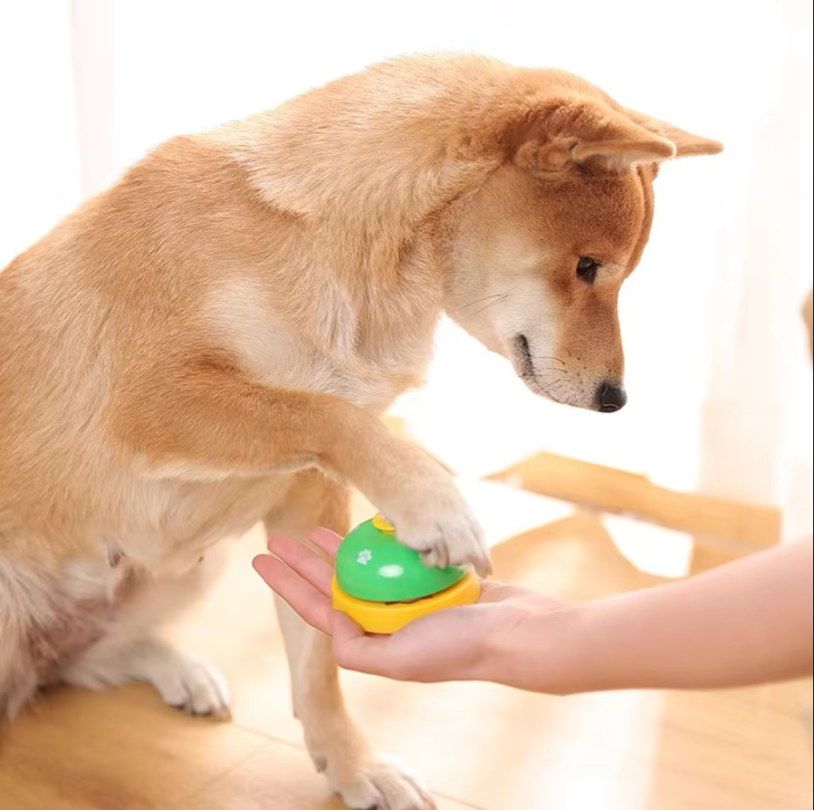 Dog Training Bell – Interactive Communication and Feeding Bell