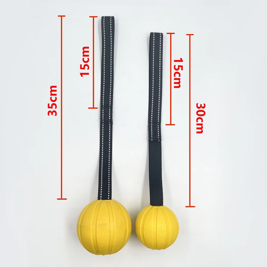 Interactive Bite Training Toy for Dogs – Durable Chewable Ball