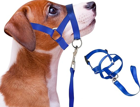 Adjustable Harness with Leash for Small and Medium-Sized Dogs