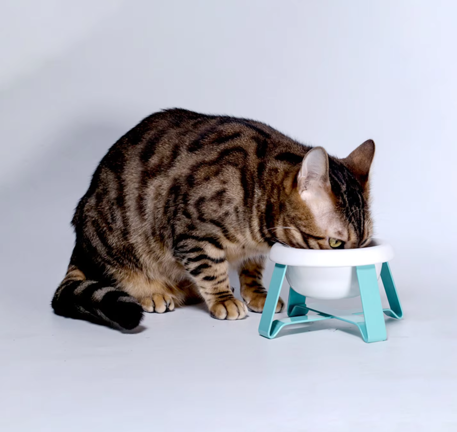 Elevated Dog Bowl – Stylish Bowl with Metal Stand